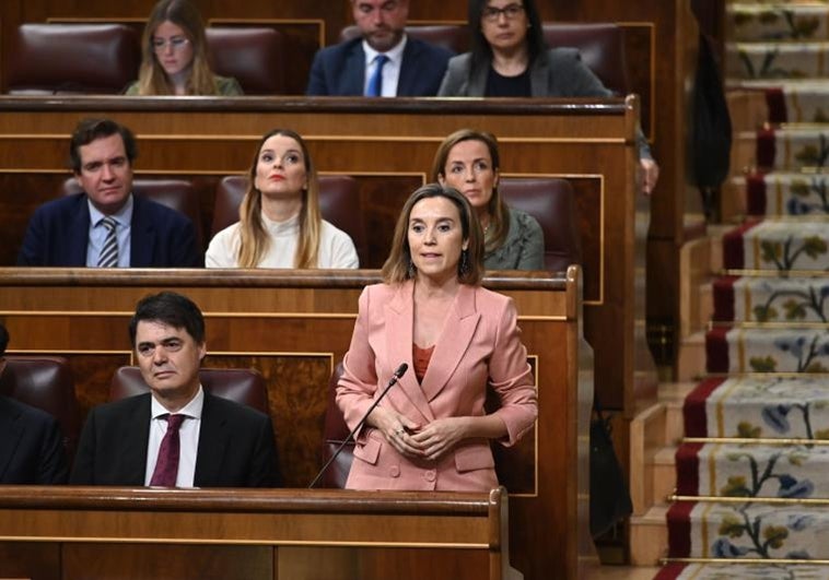 El PP reclama al Ejecutivo los documentos de la 'ley trans' escondidos al Congreso