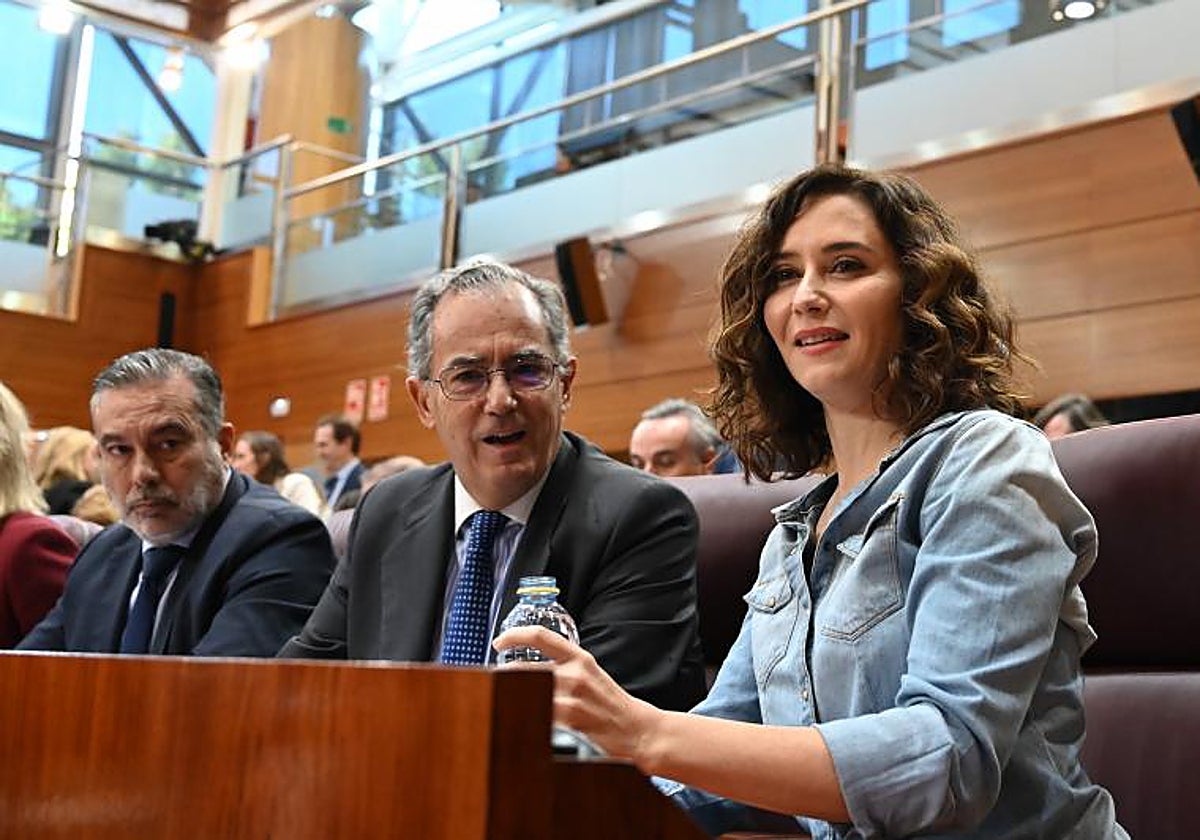 Isabel Díaz Ayuso, esta mañana en la Asamblea de Madrid