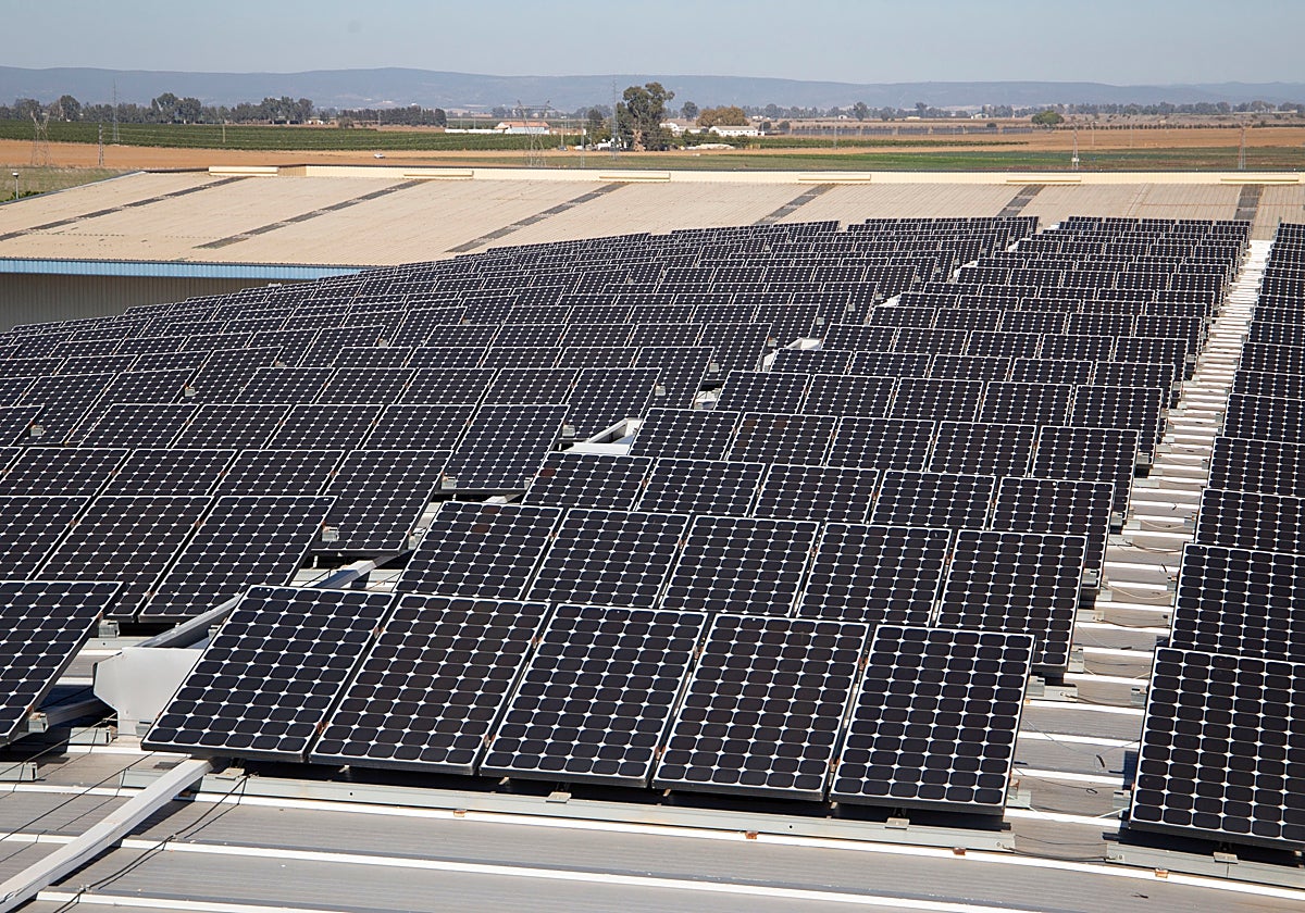 Planta solar gestionada por la firma cordobesa Magtel