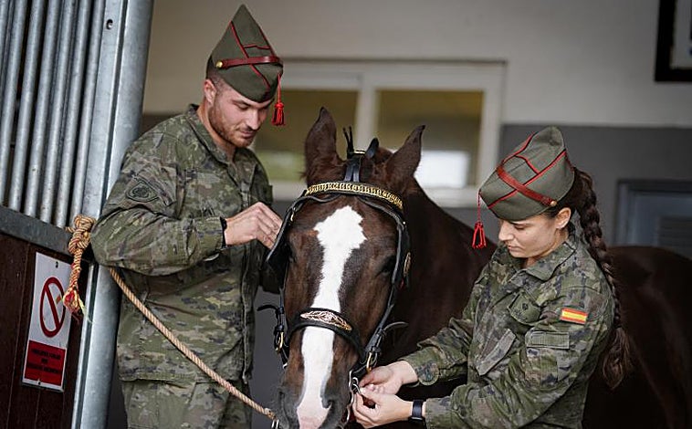 Imagen principal - En la imagen superior y sobre estas líneas, a la izquierda, artilleros de la Batería Real equipando a un caballo hispano bretón de la Sección Hipomóvil. Grupo de Escoltas. A la derecha, Sección de Guías de Perros, perteneciente a la Compañía de Control Militar, Grupo de Escoltas.