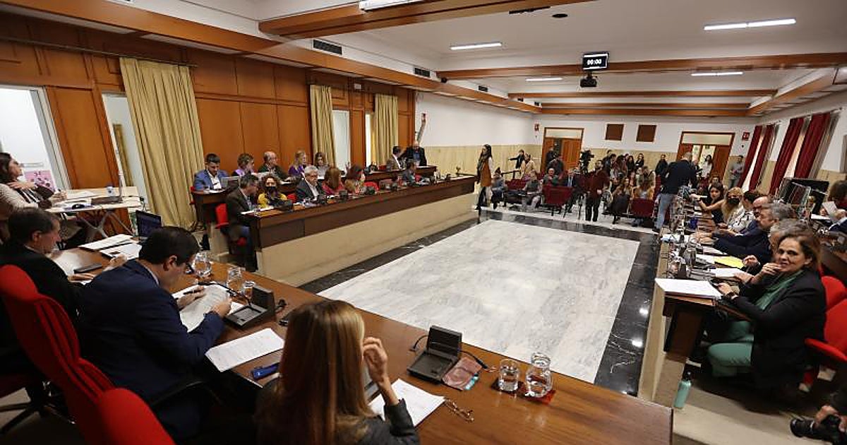 Primarias, primarios y primates