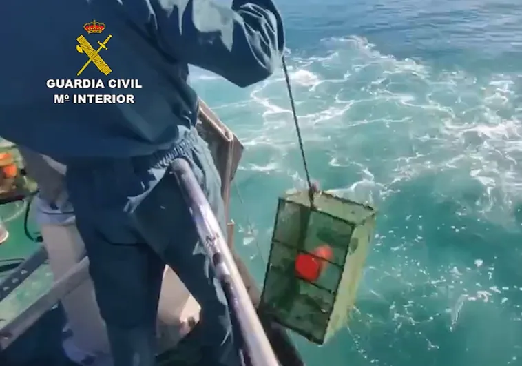 La Guardia Civil desmantela 39 puntos de captura clandestina de marisco en la bahía de Plencia