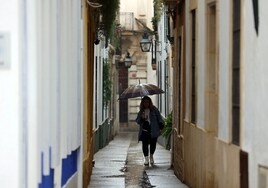 El tiempo en Córdoba | El frío se templa para volver a los 20 grados en noviembre