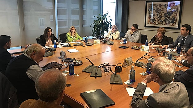 Imagen de la reunión mantenida por la decana del ICAV, Auxiliadora Borja, con los delegados de los partidos judiciales