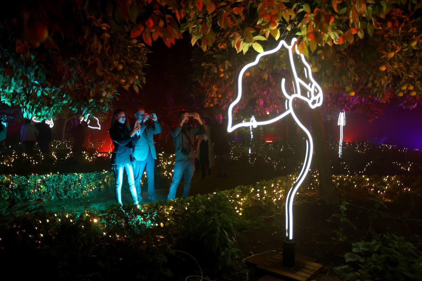 El deslumbrante espectáculo nocturno del Alcázar de Córdoba, en imágenes