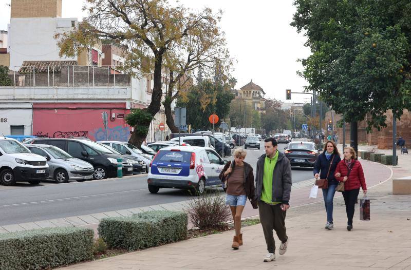 La Ronda del Marrubial de Córdoba, en imágenes