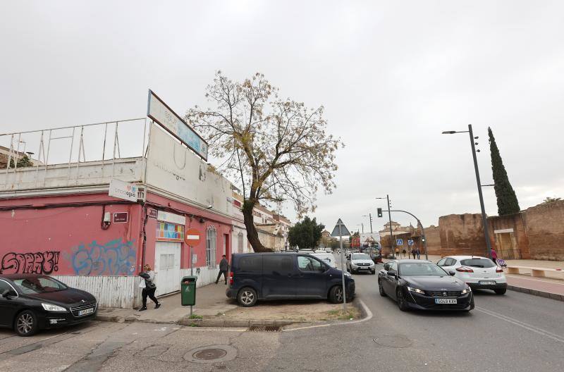 La Ronda del Marrubial de Córdoba, en imágenes
