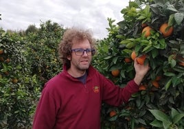 Juan Salamanca (Biovalle) : «Las naranjas de afuera ponen en peligro a nuestras producciones»