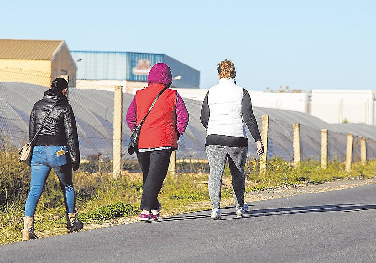 Tres mujeres caminan por la carretera en Moguer