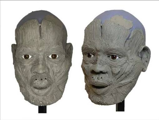 Estas imágenes muestran la tercera fase o de reconstrucción de la musculatura facial