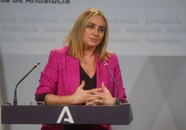 La Junta de Andalucía podrá paralizar las obras irregulares de viviendas y parcelaciones nada más que las detecten