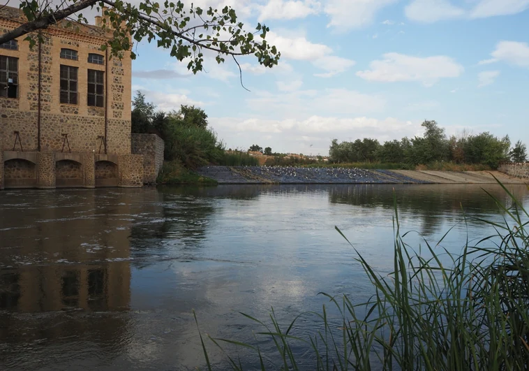 Toledo, Aranjuez, frontera y medioambiente