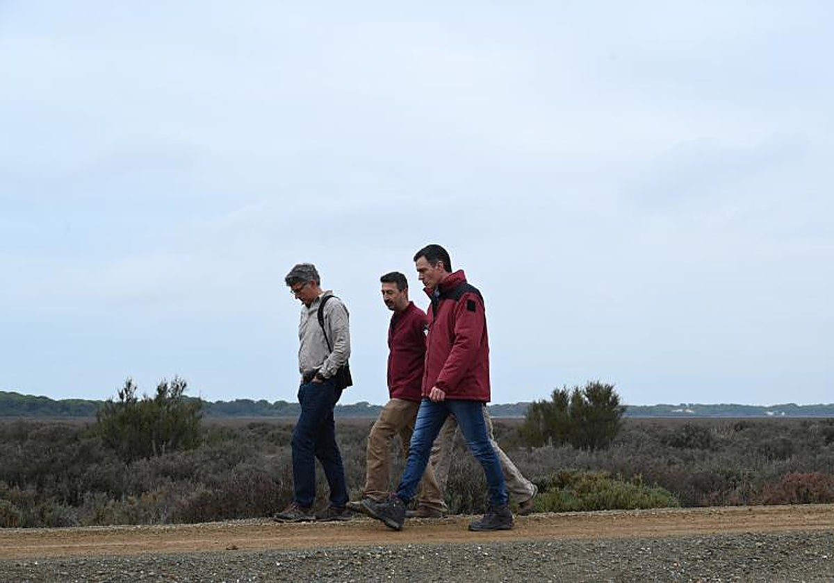 El presidente del Gobierno, Pedro Sánchez, durante su visita al Parque Nacional de Doñana