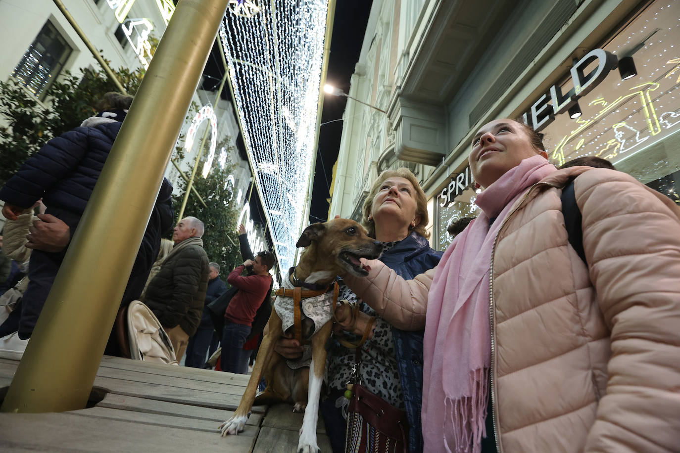 El deslumbrante estreno del espectáculo de luz y música de Cruz Conde en Córdoba, en imágenes