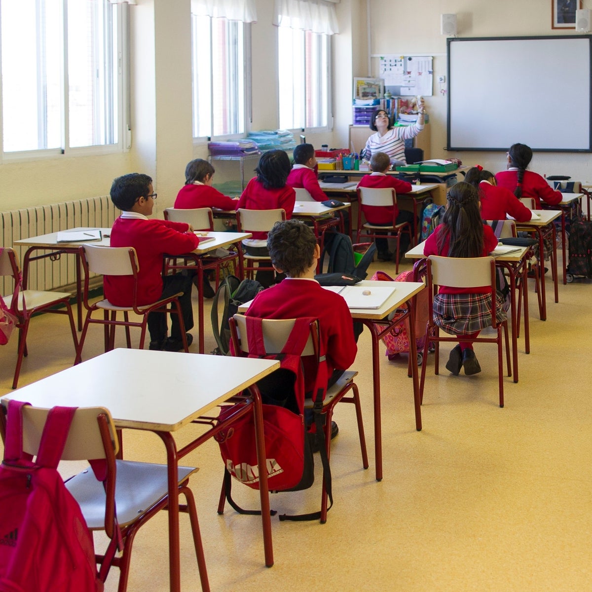 La guía educativa que enseña a masturbarse desde los 3 años llega a los tribunales de Cataluña