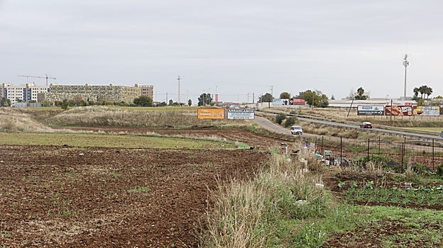 Suelos en Poniente Sur en torno a la carretera del Aeropuerto que ocupará 'Puerta de Córdoba'