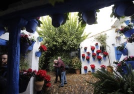 Los Patios embellecen la Navidad de Córdoba en su décimo aniversario como Patrimonio de la Humanidad