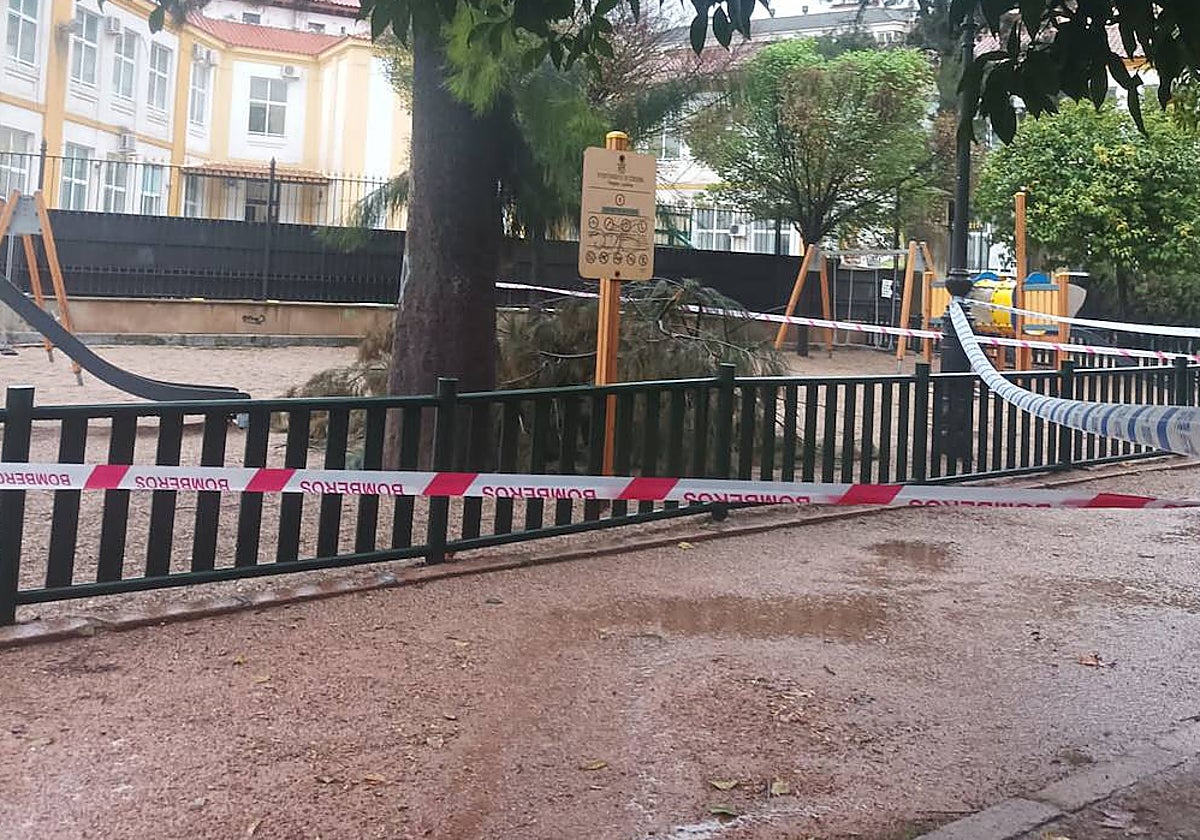 Zona de juegos infantil del Parque de Colón, acordonada tras caer una gran rama