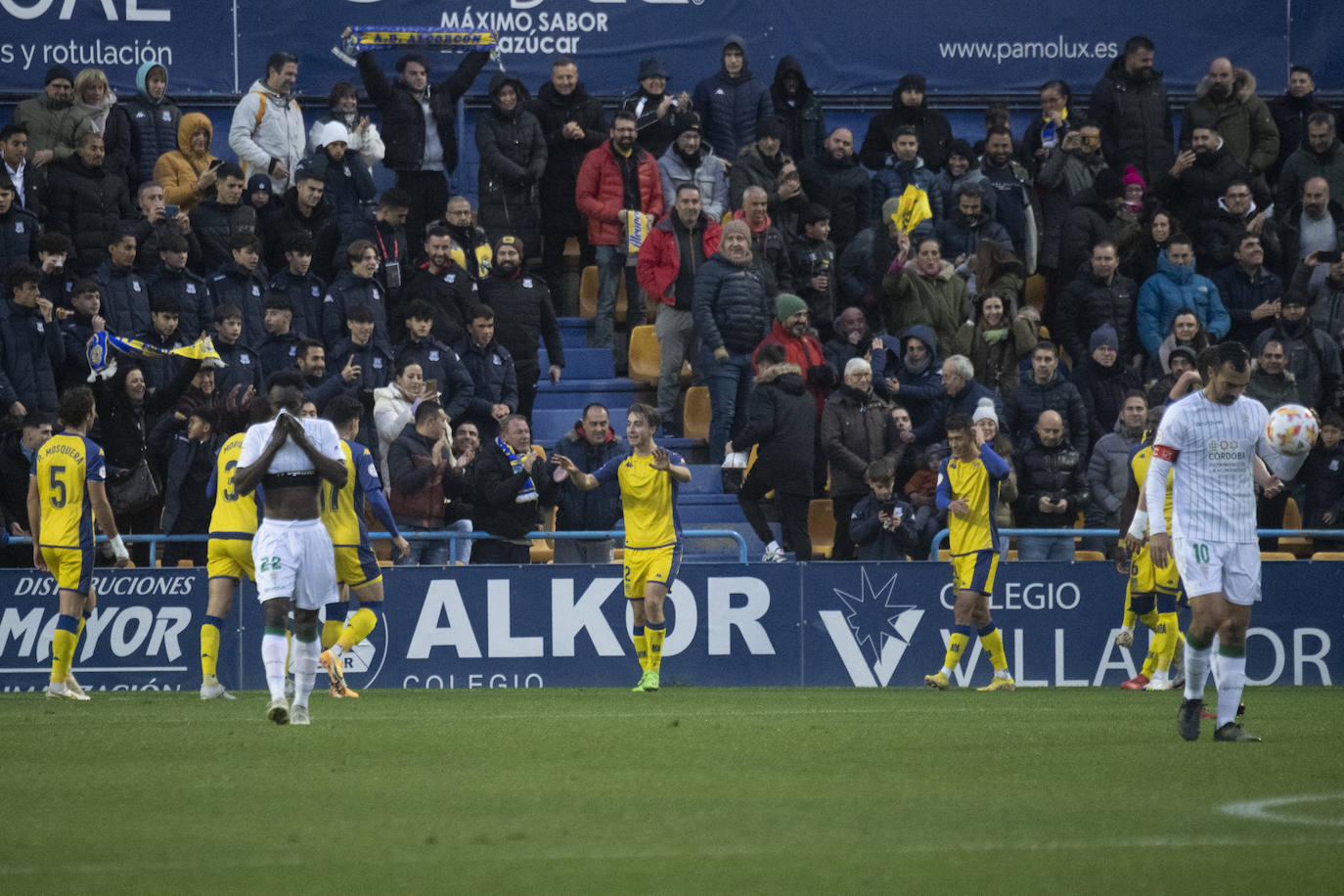 Las mejores imágenes del AD Alcorcón - Córdoba CF