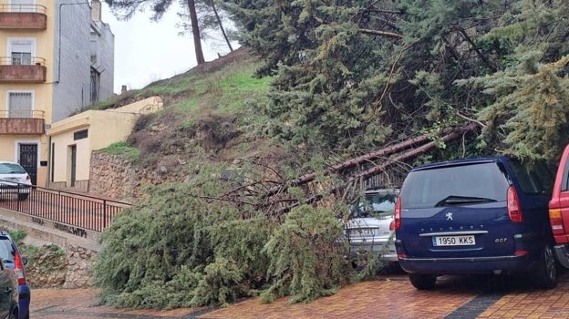 La lluvia ha provocado la caída de árboles en algunas zonas de la ciudad