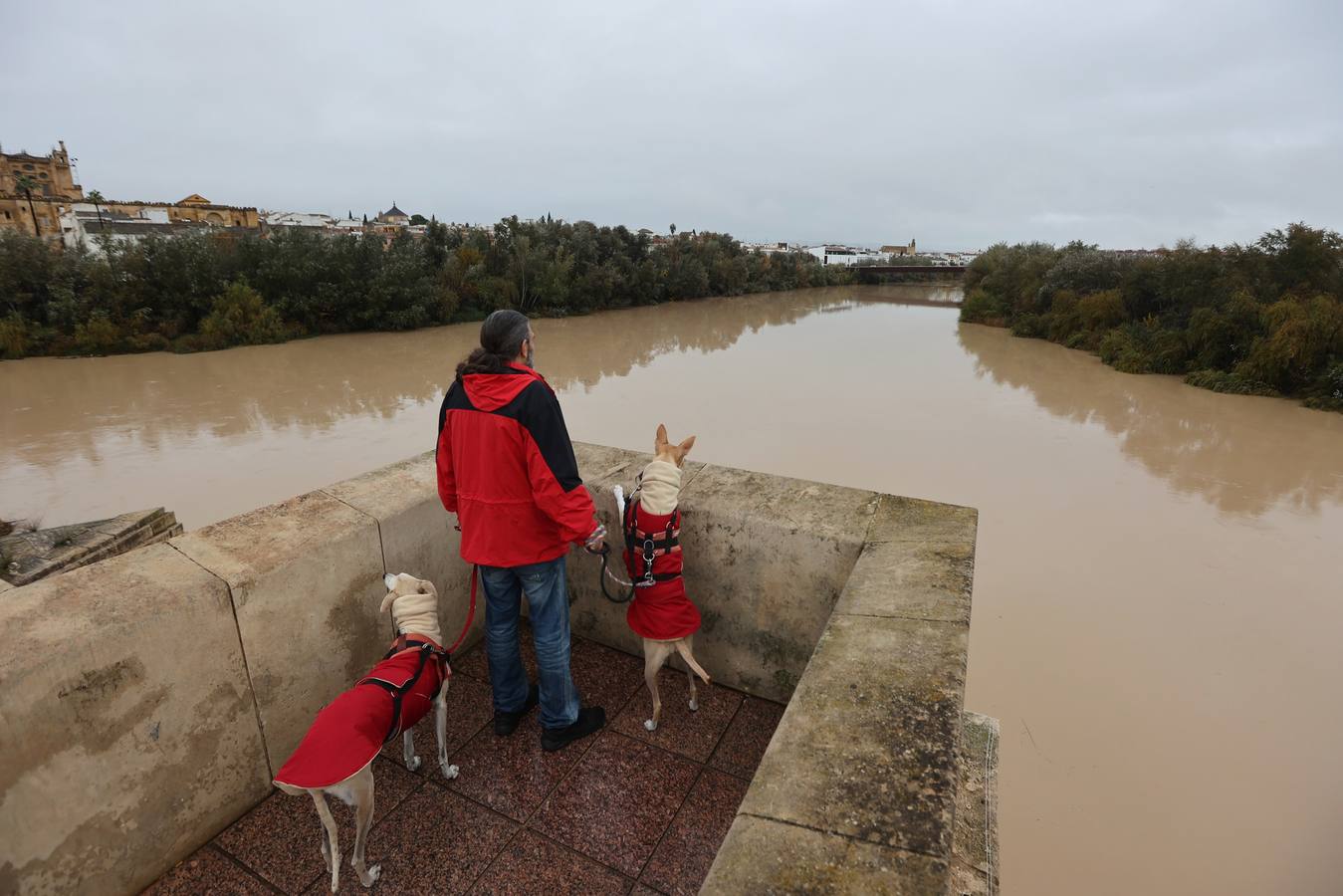 En imágenes, el Guadalquivir recupera el caudal a su paso por Córdoba
