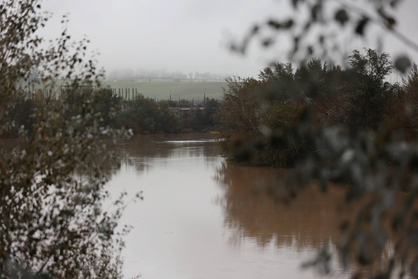 En imágenes, el Guadalquivir recupera el caudal a su paso por Córdoba