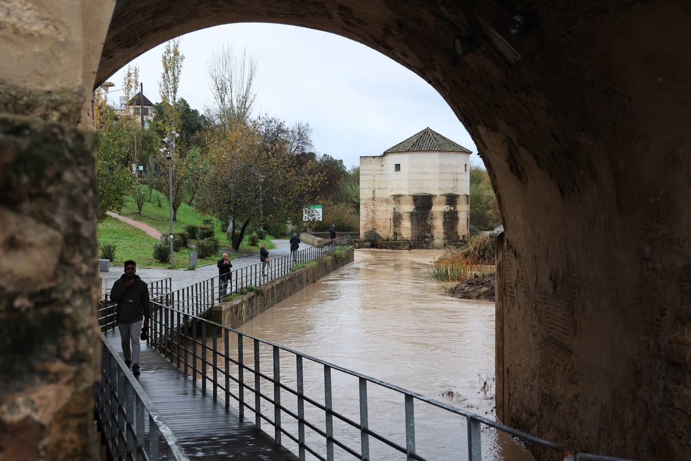 En imágenes, el Guadalquivir recupera el caudal a su paso por Córdoba