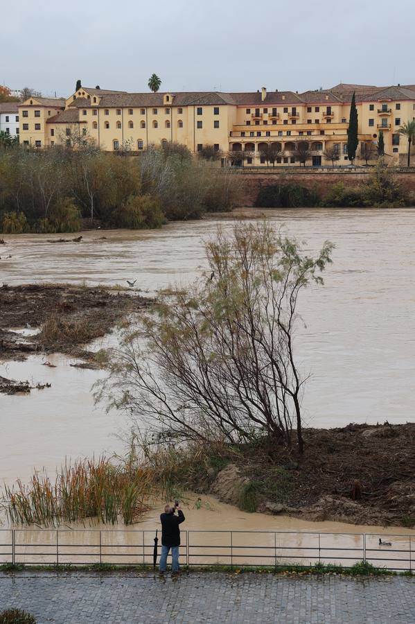 En imágenes, el Guadalquivir recupera el caudal a su paso por Córdoba