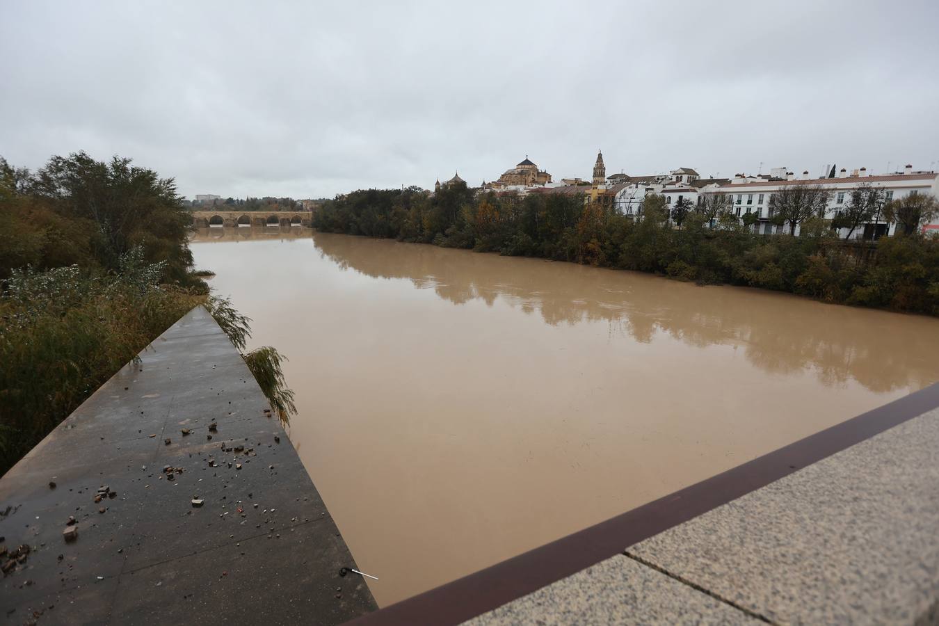 En imágenes, el Guadalquivir recupera el caudal a su paso por Córdoba