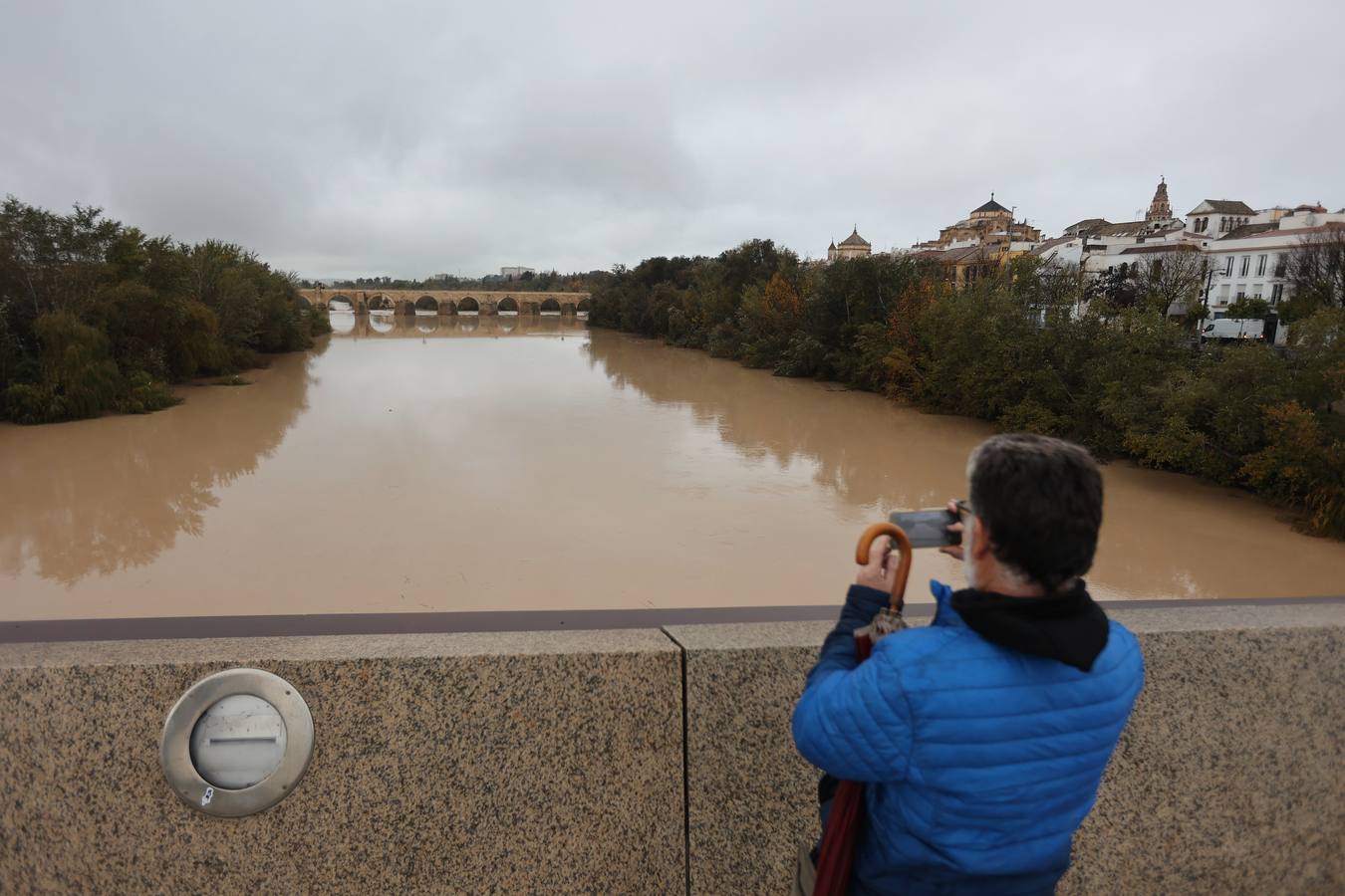 En imágenes, el Guadalquivir recupera el caudal a su paso por Córdoba