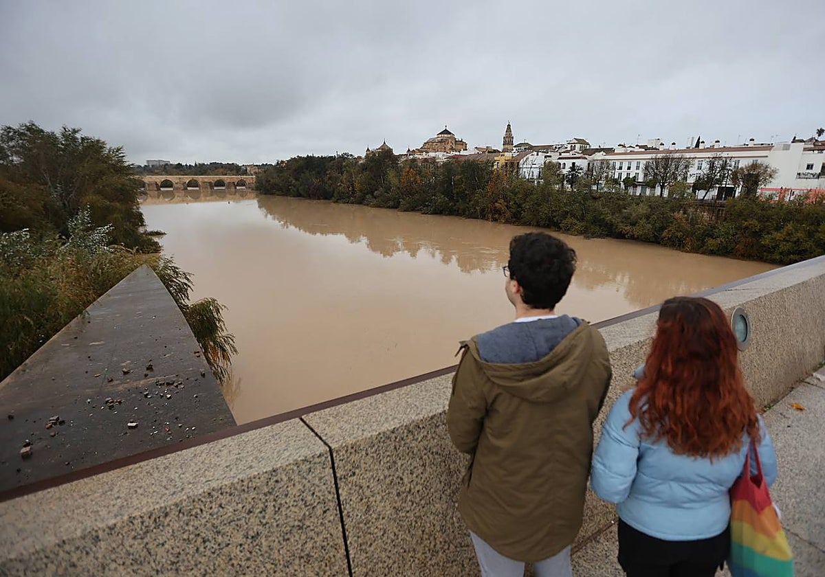 En imágenes, el Guadalquivir recupera el caudal a su paso por Córdoba