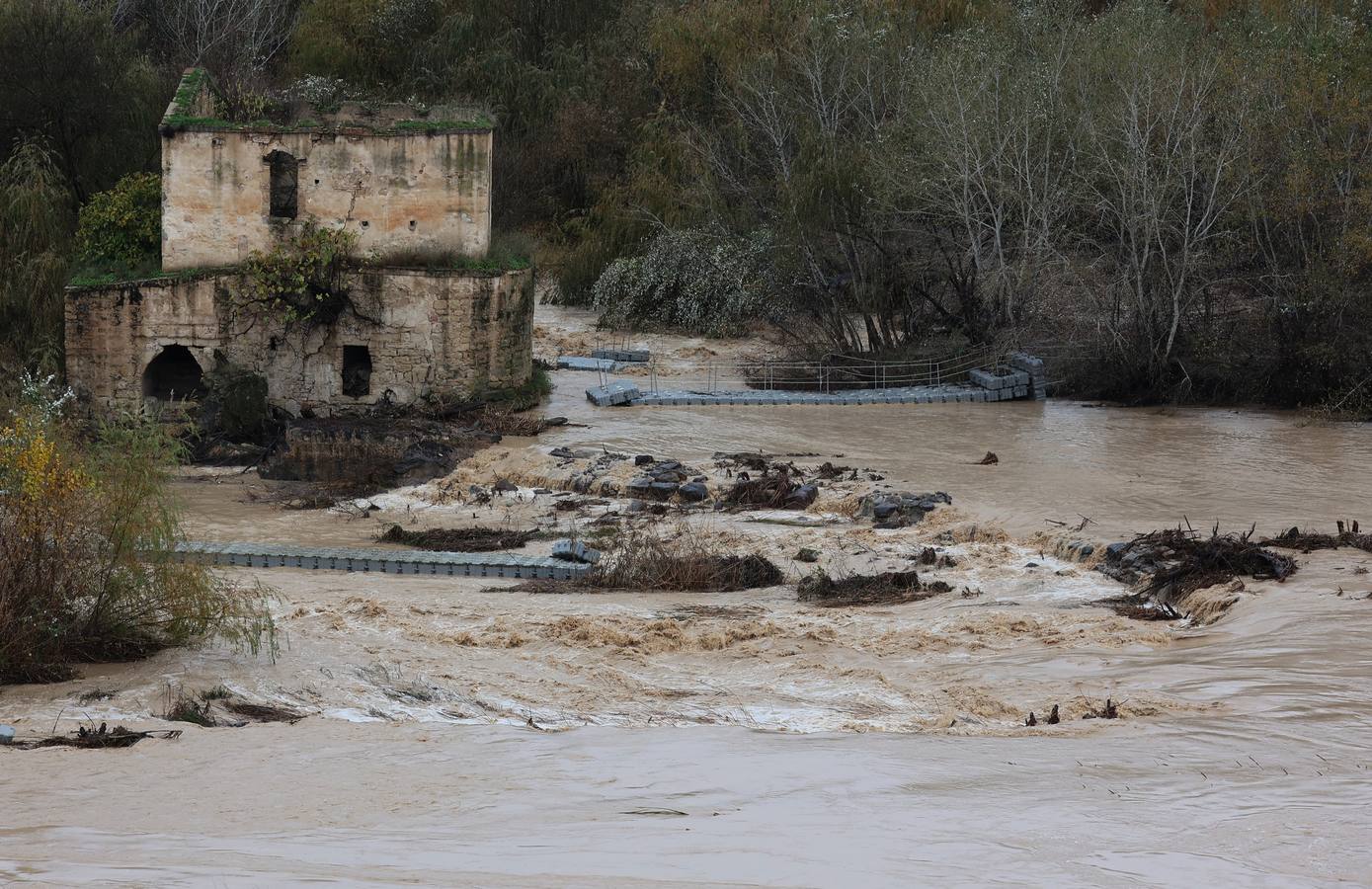 En imágenes, el Guadalquivir recupera el caudal a su paso por Córdoba