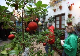 La apertura de los Patios de Córdoba en Navidad, en imágenes