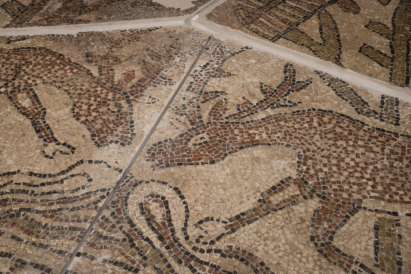 Las mejores imágenes de la impactante exposición &#039;Cambio de era&#039; en Córdoba