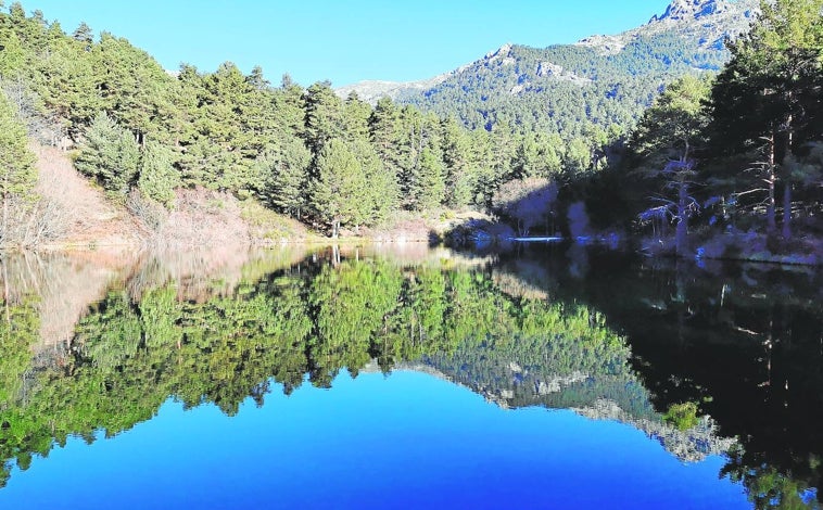 Imagen principal - Buzos para recuperar la antigua presa de Navacerrada que abastecía a tuberculosos convertida ahora en oasis de biodiversidad