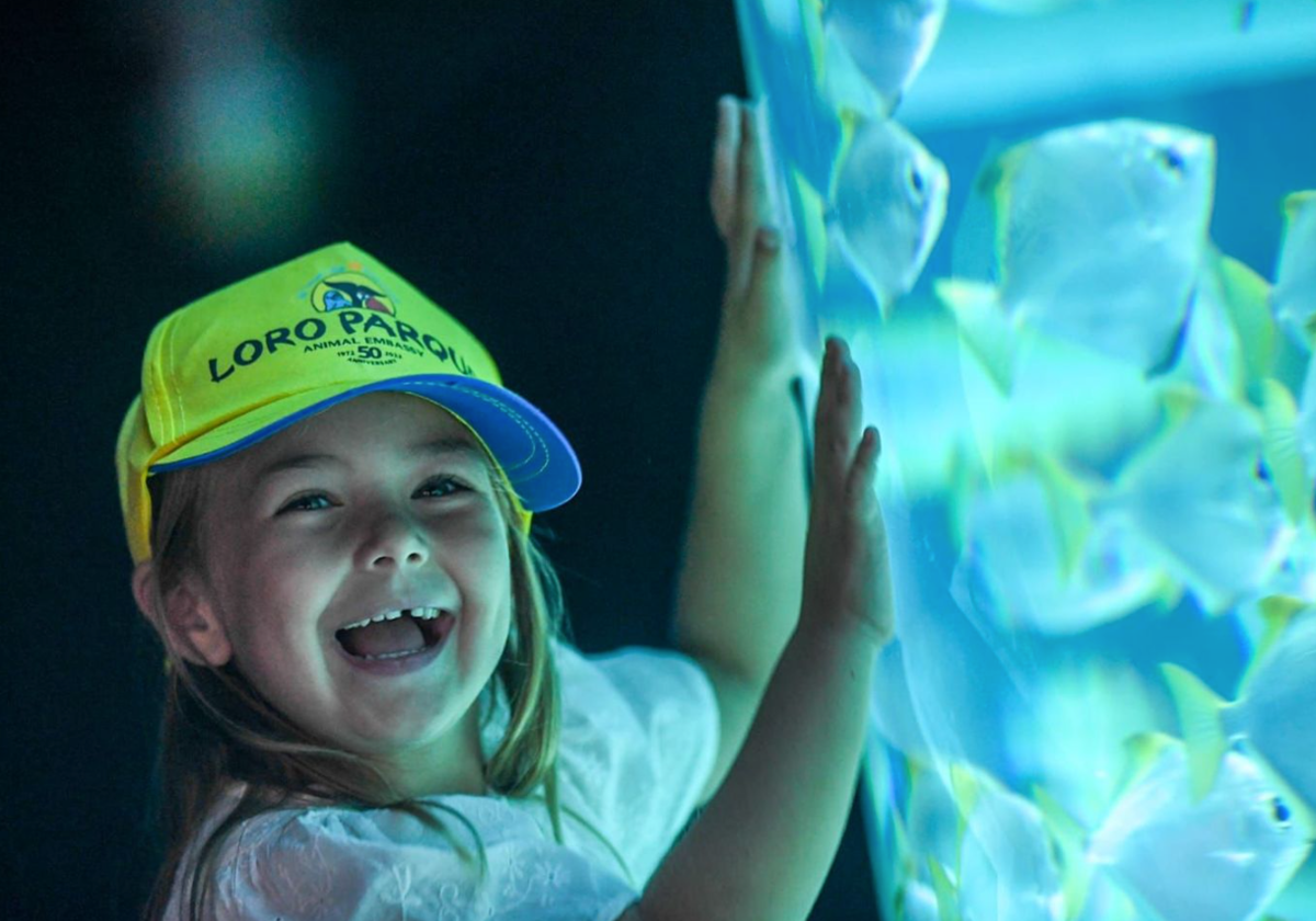 Una niña visita el acuario de Loro Parque en foto de archivo
