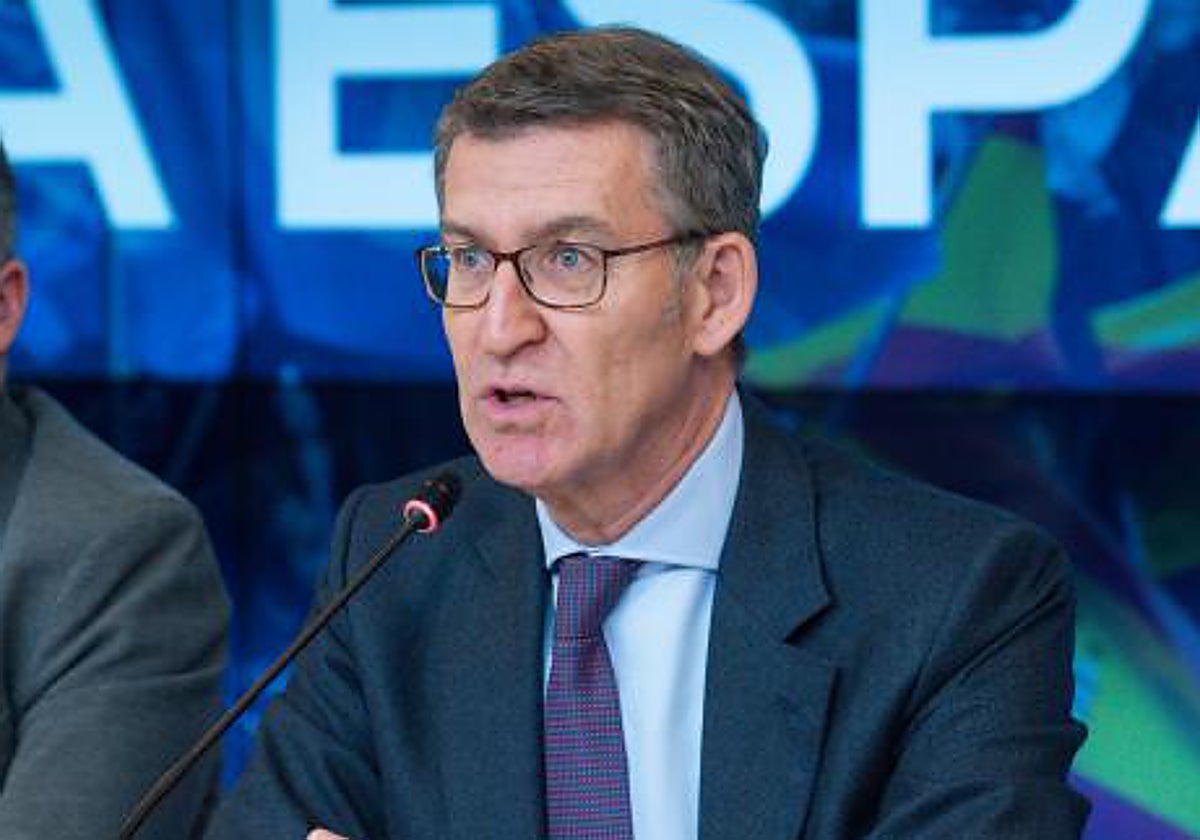 El líder del PP, Alberto Núñez Feijóo