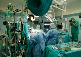 El Servicio Andaluz de Salud (SAS) renovará a 850 enfermeros, médicos y técnicos el 1 de enero en Córdoba