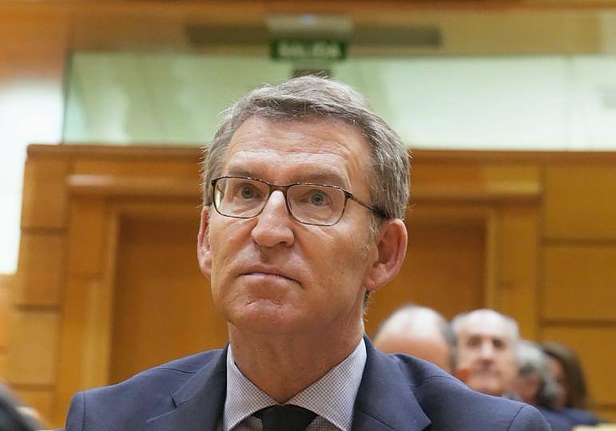 El presidente del PP, Alberto Núñez Feijóo