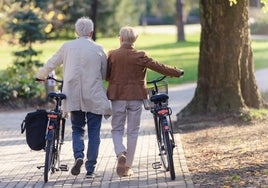 Andalucía aprueba este martes subir un 9% el complemento para pensiones de jubilación e invalidez no contributivas en 2023