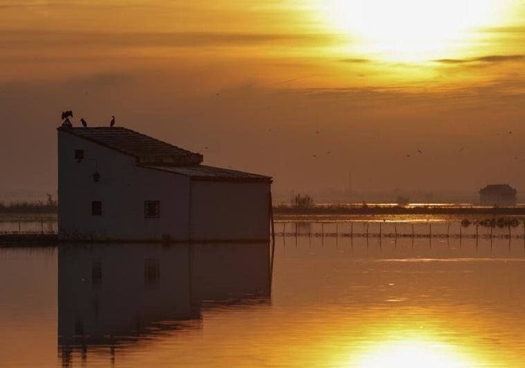 Diez buenos motivos para visitar Valencia en 2023