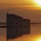 Diez buenos motivos para visitar Valencia en 2023