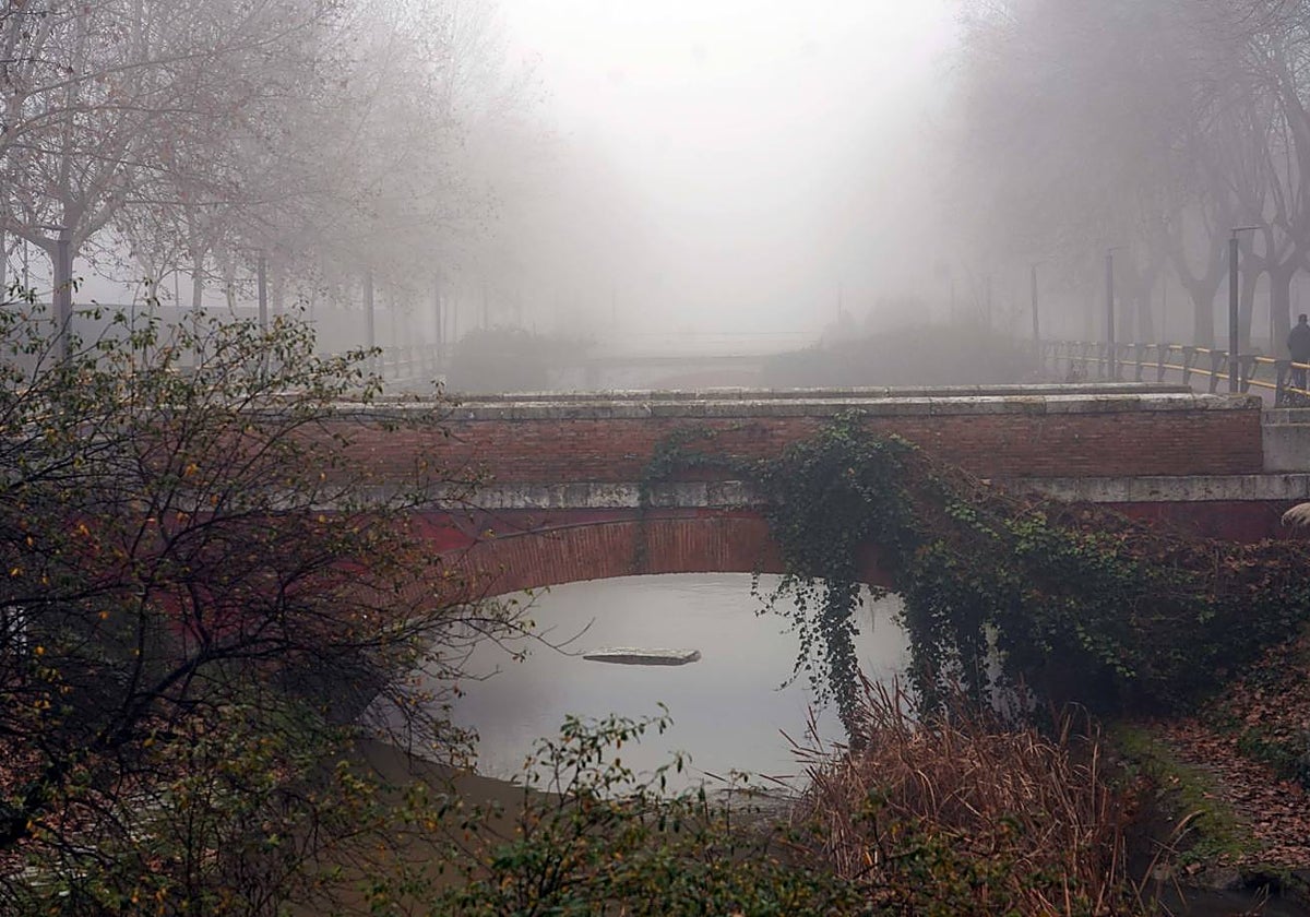 Mañana de niebla en Valladolid
