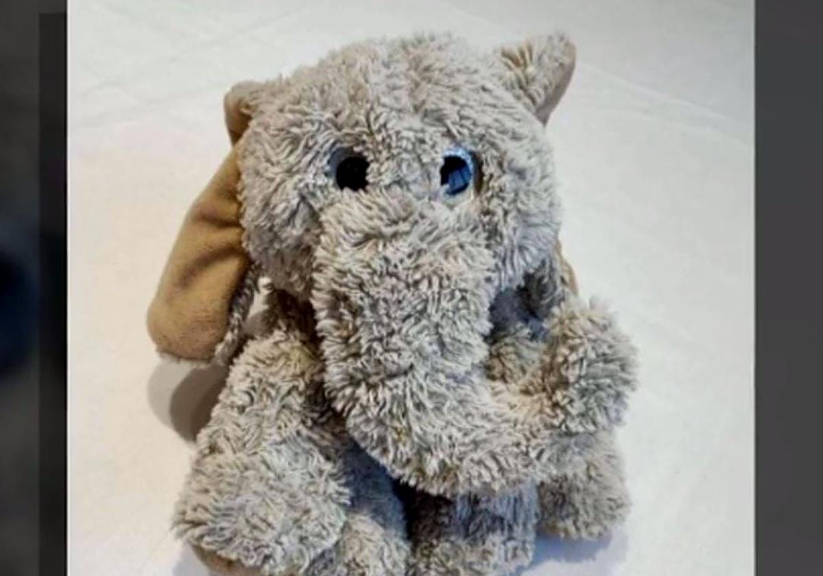 Marcos, el niño de 4 años con una enfermedad rara, recupera a su peluche &#039;Fantito&#039;: «¡Y se hizo la magia!»