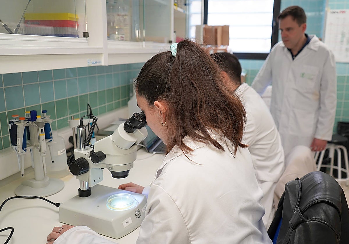 Investigadores de la UCV desarrollan un pintalabios antimicrobiano que impide la propagación de virus, bacterias y hongos