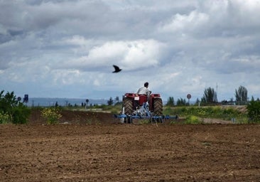 Asaja denuncia una oleada de robos en el campo en la comarca de Campo de Criptana