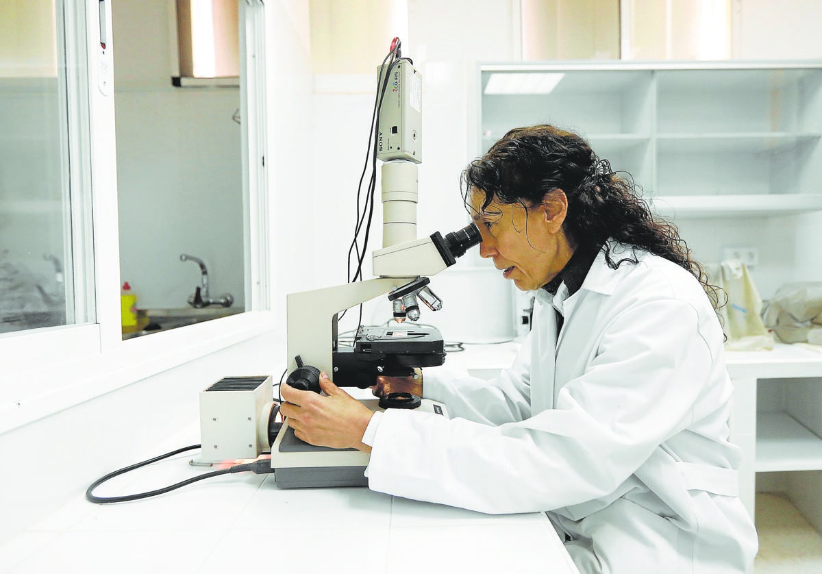 Una investigadora de la UCO, en el laboratorio