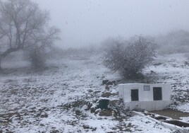 Estas son las zonas de Andalucía donde puede llegar la nieve esta semana