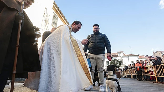 Bendición a mascotas en León con motivo de San Antón