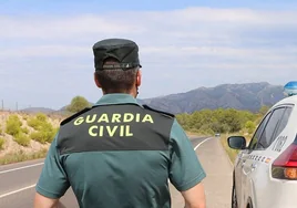 Matan a tiros a un hombre de 41 años en su finca de un pueblo de Granada